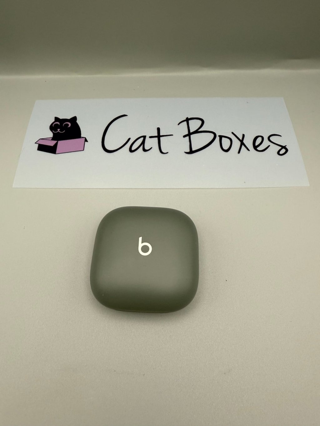 Genuine Beats Fit Pro Charging Case ONLY Sage Green Replacement Case